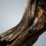 Hugo Boss Boss Bottled Deodorant Stick untuk Pria dengan Aroma Apel, Kapulaga, dan Vetiver 2,4 oz